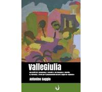 ValleGiulia: Con scritti di Orazio CarpenzanoChiara CorsettiGaetano De FrancescoAntonello MarottaMarco PetreschiFranco Purini per il pensionamento del prof. Saggio da «Sapienza»