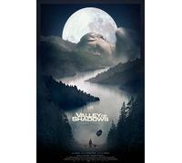 Valley Of Shadows [Edizione: Stati Uniti]