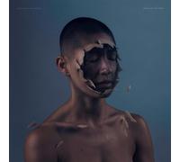 Valley Of Vision - Manchester Orchestra (Audio Cd)