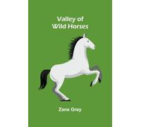 Valley of Wild Horses