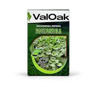 Valoak Semi Dichondra Repens per Prato 1 lb | Prato decorativo, fogliame verde e morbido, adatta a zone ombreggiate, tolleranza al caldo, copertura del terreno