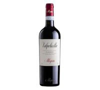 Valpolicella Classico DOC Allegrini 2021 0,75 ℓ