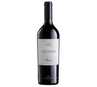 Allegrini Valpolicella Classico Superiore DOC 2023 - 0,75 L