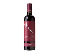 Valpolicella Classico Superiore Zymé 2019