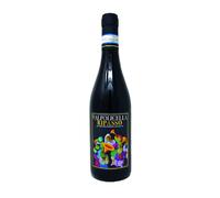 Valpolicella Ripasso DOC 2021 - FNA 0.75 lt