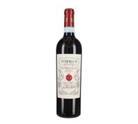 Valpolicella Tommasi 2024