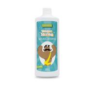 Valquer Ginger Ginger Strong Shampoo 1000ml