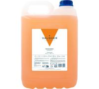 Valquer Profesional Válquer Shampoo Mandarino Senza Sale - 5000 Ml