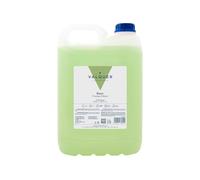 VALQUER Shampoo al Melone | Shampoo Professionale Idratante per Tutti i Tipi di Capelli | Formula Vegana Senza Siliconi e Sale | Capelli Morbidi e Luminosi | 5 L