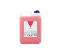 VALQUER Shampoo alla fragola | Rinforza e protegge i capelli | Pulizia profonda e morbidezza per tutti i tipi di capelli | Formula vegana, senza siliconi | Flacone professionale da 5 litri