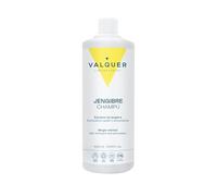 VALQUER Shampoo Antiforfora allo Zenzero | 1 L | Combatte la forfora e rinforza i capelli | Con pantenolo e vitamina E | Formula vegana