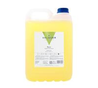 VALQUER Shampoo Professionale Speciale per Parrucchieri | Detersione Delicata per Uso Frequente | Vegano | 5000 ml