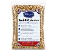 Valsapori Semi di Coriandolo Interi per Curry e Marinature, 100 g | Per legumi, stufati, pane, sottaceti e miscele aromatiche; adatti a tostatura, pestatura o macinatura al momento