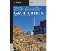 Valter Bruno Silva Antonio Chavando João Cardoso Gasification (Tascabile)