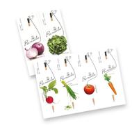 VALUE PACK 4 PEZZI: semi piantabili + matite + cartoncini (semi ORTO - 4 pezzi)