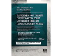 Valutazione di ponti e viadotti esistenti soggetti a rischi strutturale in condizioni statiche, sismiche e di degrado