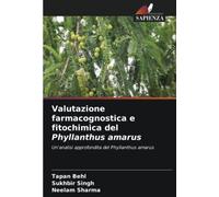 Valutazione farmacognostica e fitochimica del Phyllanthus amarus: Un'analisi approfondita del Phyllanthus amarus