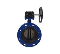 Valvola A Farfalla Con Flangia For Turbina Manuale, Disco In Ghisa Duttile Con Guarnizione Morbida NBR, 1 Pezzo, Dimensioni DN50-DN350 For Applicazioni Agricole E Chimiche(DN250)