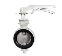 Valvola a farfalla in lega di alluminio con maniglia, turbina fine e piccola, piastra valvola in acciaio inossidabile 1,6 MPa in magazzino Anticondensa(G-16LEBD DN125)