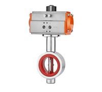 Valvola a farfalla tipo wafer, valvola a farfalla con flangia pneumatica integrata DN25 DN32 DN40 in acciaio inossidabile di grado (Size : DN25)