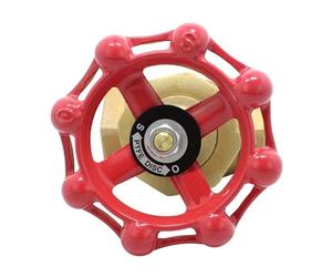 Valvola a globo Dimensioni porta DN15-DN50(DN40)