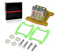 Valvola a lamelle motore Gruppo valvola lamellare di aspirazione del carburatore adatto per Yamaha ATV BLASTER 200 1988-2006 YZ80 1987-1992 Lamellare