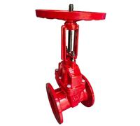 Valvola A Saracinesca Con Tenuta Morbida, Valvola A Saracinesca Con Tenuta Morbida, Flangia In Ghisa Sferoidale, Tubo Di Ritegno DN100(DN200)