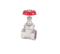 Valvola a saracinesca femmina BSPT DN15-50 1/2" 3/4" 1" 1-1/4" 1-1/2" 2" in acciaio inossidabile 304 for acqua, gasolio, casa e giardino(1")