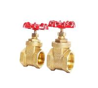 Valvola a saracinesca in ottone con filettatura femmina G 1/2" 3/4" 1" 1-1/2" 2" DN15 DN20 DN25 DN32 DN40 DN50 con volantino in acciaio passaggio completo(DN40)
