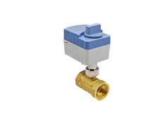 Valvola a sfera elettrica a 2 vie in ottone Valvola a sfera motorizzata IP65 di grado impermeabile con funzione di interruttore manuale AC/DC 12V/24V/220V
