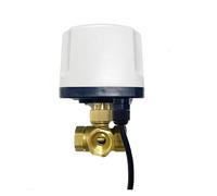 Valvola a sfera elettrica impermeabile IP65 a 3 vie da 1/2", 220 V, 12 V, 24 V, valvola a sfera in ottone a 3 fili e 2 controlli tipo T/L(L TYPE-220VAC)