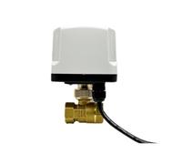 Valvola a sfera motorizzata ad apertura rapida, normalmente chiusa, 1/2, 3/4, 1/2 pollice, 2 fili, solenoide di ricambio elettrico, 1 pezzo(3/4",NORMALLY CLOSED_220VAC)