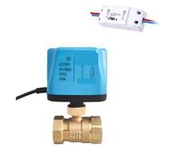 Valvola a sfera motorizzata con interruttore temporizzato for acqua, valvola elettrica con Life Alexa Alice Home AC220V(2")