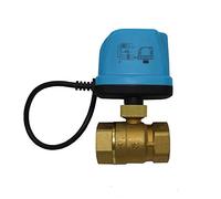 Valvola a sfera motorizzata DN25 2 vie 220 V ottone elettrovalvola Acqua valvole (1 pollice) valvola elettrica
