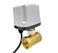 Valvola a sfera motorizzata impermeabile da 1/2" 3/4" 1" 2" 220V 12V 24V Valvola a sfera elettrica in ottone Valvole a sfera a tre o due fili(12VDC-CR02)