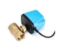 Valvola a sfera motorizzata normalmente chiusa da 1/2" 3/4" 1" 2" 220V 12V 24V Valvola a sfera elettrica in ottone a 2 fili Sostituisce l'elettrovalvola(24VDC-OPEN)