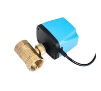 Valvola a sfera motorizzata normalmente chiusa da 1/2" 3/4" 1" 220V 12V 24V 2-Wire ottone valvola a sfera elettrica sostituire elettrovalvola (1", DC12V-24V_Normally Open)