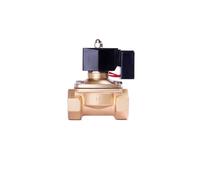 Valvola a solenoide impermeabile normalmente chiusa da 32 1-1/4" Valvola di controllo elettrica in ottone EPDM non termico 12VDC(2W-32 NBR,NPT_24VAC)