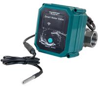 FrankEver Smart water valve DN20