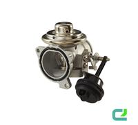 HELLA 6NU 010 171-311 Valvola EGR