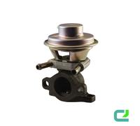 HELLA 6NU 010 171-481 Valvola EGR