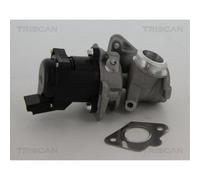 Valvola AGR Elettrica Con Guarnizioni TRISCAN 8813 10010 Per Citroën C4