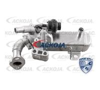 Valvola AGR Elettrica Con Radiatore AGR ACKOJA A38-63-0004 Per Nissan Pathfinder