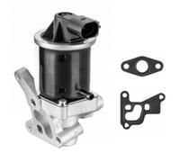 Valvola ricircolo gas scarico-EGR compatibile con SEAT VW PTA510-0250