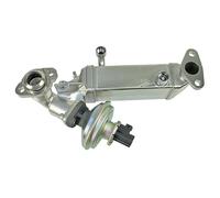 Valvola AGR METZGER con Guarnizione per BMW Serie 1 u.a.