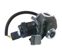 VALVOLA AGR MV551Q