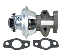 Valvola AGR Pneumatica Con Guarnizione METZGER Compatibile Con FORD RANGER