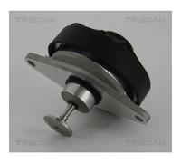 Valvola AGR Pneumatica Con Guarnizioni TRISCAN 8813 24202 Per Opel Vectra B
