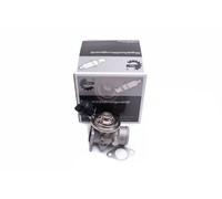 ESEN SKV Valvola EGR per AUDI, SEAT, VW e altri