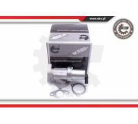 Valvola aria secondaria 14SKV209 ESEN SKV per KIA HYUNDAI